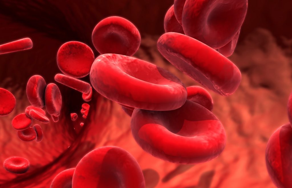 Innovative home blood testing service wins coveted Impact Award