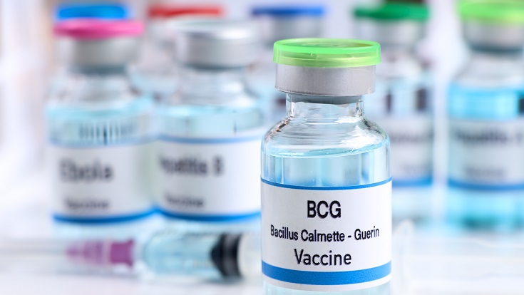 Is BCG Immunisation Resulting In Protective Immune Responses Against 